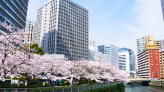 五反田で人妻デリヘルが女性募集。30代, 40代への求人情報。