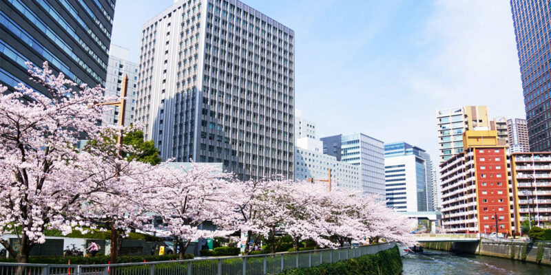 五反田で人妻デリヘルが女性募集。30代, 40代への求人情報。